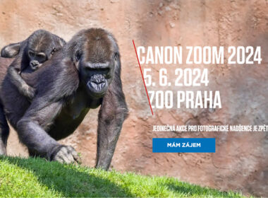 Canon v ZOO 2024 - Canon ZOOM