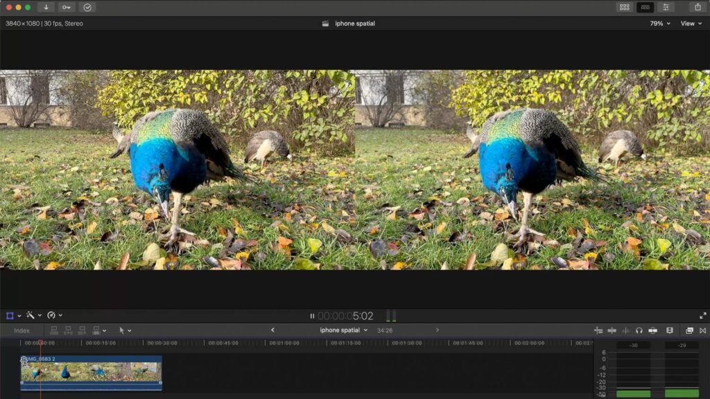 iPhone 16 Pro a prostorové video - pávi v zahradě v programu Final Cut Pro